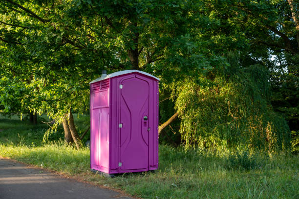 Best Affordable portable toilet rental  in Litchfield, IL
